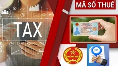 Thuế TP.Hà Nội có thông báo quan trọng về mã số thuế cá nhân
