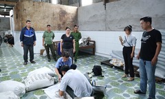 Triệt phá đường dây sản xuất, vận chuyển phân bón lậu quy mô lớn, thu giữ hơn 27 tấn