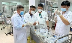 Vụ 3 học sinh ngộ độc nghi do ăn cá ủ chua: WHO hỗ trợ khẩn thuốc giải độc giá 8.000 USD/lọ