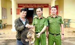 Phát hiện con vật quý, mắt to tròn khi dọn nhà, người đàn ông giao nộp công an