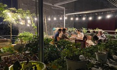 Biến sân thượng 50m2 thành  "thiên đường " rau sạch, nàng dâu đảm đang khiến bố mẹ chồng tự hào khoe khắp phố