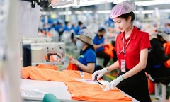 Xu hướng tuyển dụng quý II/2026: Doanh nghiệp Việt lạc quan nhưng vẫn tái cấu trúc