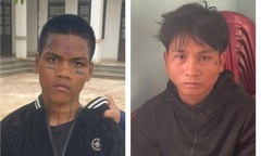 Bắt giữ 2 đối tượng cướp túi xách chứa tiền của người phụ nữ mua điều ở Gia Lai