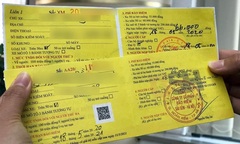 Phân biệt các loại bảo hiểm xe máy