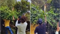 Thót tim xem cảnh người đàn ông tay không đối đầu  "tử thần " hổ mang chúa