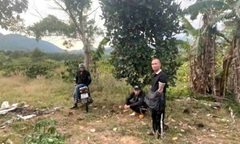 Tin pháp luật nổi bật 24h qua: Bắt tạm giam 2 đối tượng giữ người trái pháp luật ở Lâm Đồng