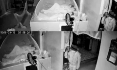 Điều tra vụ chú rể ở Cà Mau bị mất sạch thùng tiền mừng cưới sau đêm tân hôn