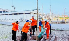 Công ty Nhiệt điện Uông Bí phát động “Tết trồng cây đời đời nhớ ơn Bác Hồ” Xuân 2026