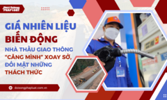  Giá nhiên liệu biến động, nhà thầu giao thông “căng mình” xoay sở, đối mặt những thách thức