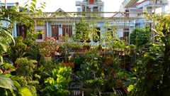 Biến ban công, mái tôn thành  "hệ sinh thái " trên cao: Vợ chồng trẻ Thanh Hóa nuôi cá, chăn đàn gà gần 50 con