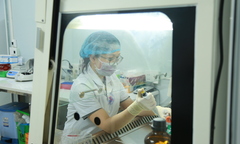 Góc khuất và bi hài xét nghiệm ADN - Bài 1: Khi ADN không  "chiều lòng người " trong cuộc chiến kế thừa gia sản