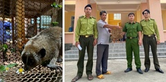 Phát hiện con vật quý hiếm, đôi mắt to tròn, người dân giao nộp công an