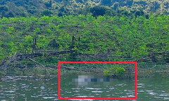 Phát hiện thi thể nam giới nổi trên mặt hồ Đá Trải, nạn nhân có đặc điểm gì?