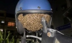 Clip: Để mũ bảo hiểm trên xe, người phụ nữ  "tái mặt " khi phát hiện.....