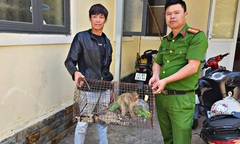 Phát hiện con vật quý hiếm, có khả năng leo cây thoăn thoắt  "đi lạc " vào khuôn viên nhà dân ở Đà Lạt