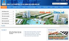 Vì sao Công ty cổ phần Đầu tư Tài chính Bảo hiểm Dầu khí bị xử phạt?