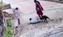 Đau lòng: Đang đi bộ cùng mẹ, bé trai bị chó hoang tấn công, camera ghi lại khoảnh khắc kinh hãi