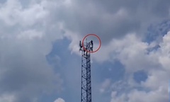 Clip: Tên trộm trèo lên đỉnh cột viễn thông 36m để trốn cảnh sát