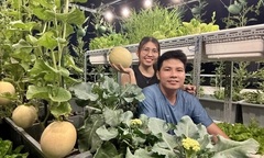 Cận cảnh  "nông trại trên mây " giữa lòng TP.HCM, rau sạch ăn không hết, chồng tình nguyện làm hết việc nhà cho vợ làm vườn