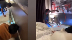 Clip: Đang ngủ trong khách sạn, cặp đôi  "hồn vía lên mây " khi phát hiện rắn hổ mang trên giường