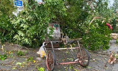 Dông lốc quật đổ cây, nữ công nhân môi trường kịp thời cứu 2 học sinh rồi bị trọng thương