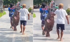Xôn xao cảnh tượng hai người đàn ông khiêng  "thủy quái " khổng lồ đi dạo trên phố