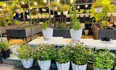 Ngắm khu vườn sân thượng 100m2  "thẳng tắp như kẻ chỉ " của người phụ nữ Đồng Nai