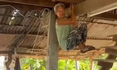 Clip: Phát hiện rắn bò vào sân, cụ bà đu xà như phim hành động khiến con cháu đứng hình