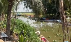 Phát hiện cá sấu dài 1,5m nặng hơn 20kg trên kênh ở Tây Ninh