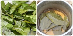 Tác dụng tuyệt vời của nước lá ổi