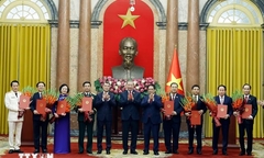 Tổng Bí thư, Chủ tịch nước Tô Lâm trao quyết định bổ nhiệm các thành viên Chính phủ