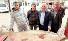 Ngỡ ngàng với "quái vật " nặng 120kg vừa sa lưới ngư dân