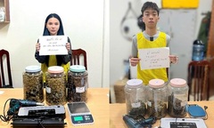 Bắt đôi nam nữ mua bán trái phép chất ma túy ở Hà Nội
