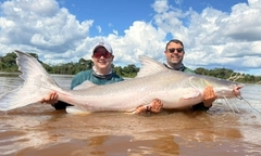 Clip: Hai anh em câu được con cá khổng lồ nặng 100kg, dài 2 mét
