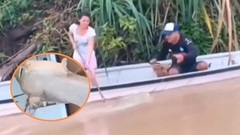 Bắt được sinh vật có màu  "lạ ", nặng hơn 100kg, cặp vợ chồng sửng sốt