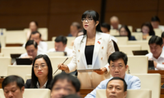 ĐBQH: Cần rõ cơ chế, chính sách phát triển hệ thống trường công lập tại Hà Nội
