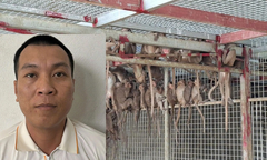 Bắt đối tượng cầm đầu đường mua bán hồng hoàng, rái cá