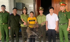 Phát hiện động vật quý hiếm gần khu dân cư, người dân liền giao nộp cho lực lượng chức năng