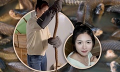 Bỏ bằng đại học về quê làm  "chúa tể loài rắn ", cô gái 9x thu tiền tỷ mỗi năm nhờ nọc độc