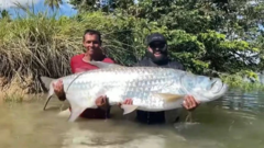 Câu được “thủy quái” dài gần 1,9m trên sông
