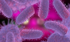 Đồng Tháp: Chủ quán thịt chó tử vong do bệnh dại