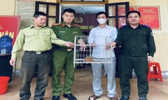 Phát hiện con vật nhỏ quý hiếm, người dân tự nguyện giao nộp công an