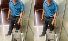 Phú Thọ: Xử phạt người đàn ông nuôi nhốt mèo rừng trái phép tại nhà
