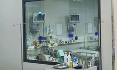 Bệnh viêm não mô cầu có xu hướng gia tăng, bác sĩ cảnh báo triệu chứng dễ nhầm với cảm cúm