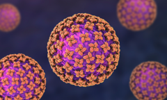 3 người tử vong trên du thuyền du lịch Đại Tây Dương, nghi do nhiễm Hantavirus