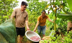 Vụ nước giếng khoan đổi màu tím ở Thanh Hóa: Kết quả phân tích chất lượng nước