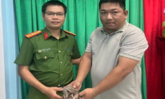 Tin tức thời sự 24h: Người dân ở Gia Lai giao nộp 1 cá thể tê tê Java quý hiếm