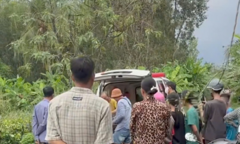 Thương tâm: Người đàn ông bị sét đánh tử vong khi cưa cây thuê 