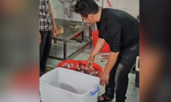 Cận cảnh bên trong cơ sở  "phù phép " hơn 15 tấn thịt bò giả từ thịt heo nái ngâm hóa chất 