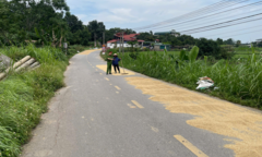 Cố tình phơi lúa, rơm rạ trên đường bị xử phạt ra sao?